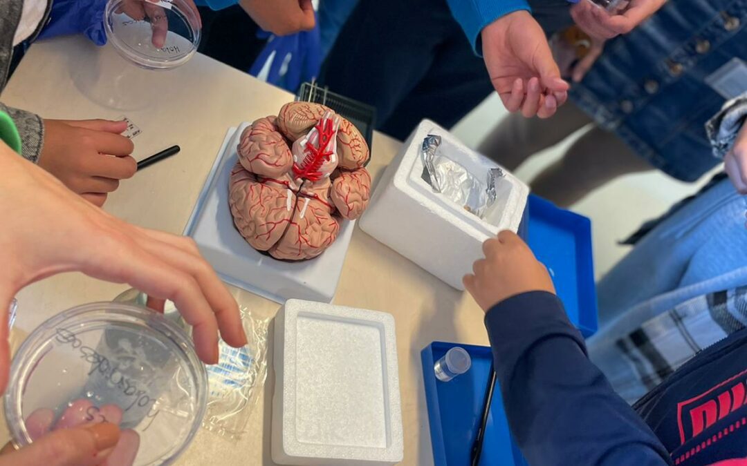 CENL BRENGT WETENSCHAP NAAR DE KINDEREN MET CENLab WORKSHOPS