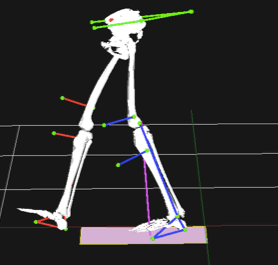 Deep Learning, Movement Análisis and Neuroscience