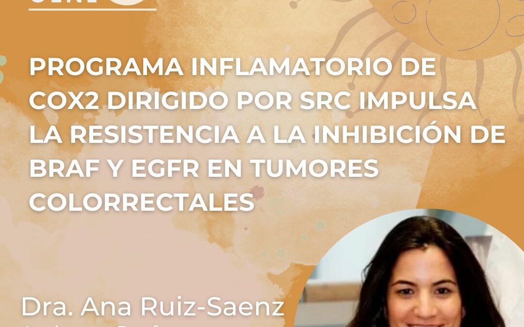 Programa inflamatorio de COX2 dirigido por SRC impulsa la resistencia a la inhibición de BRAF y EGFR en tumores colorrectales