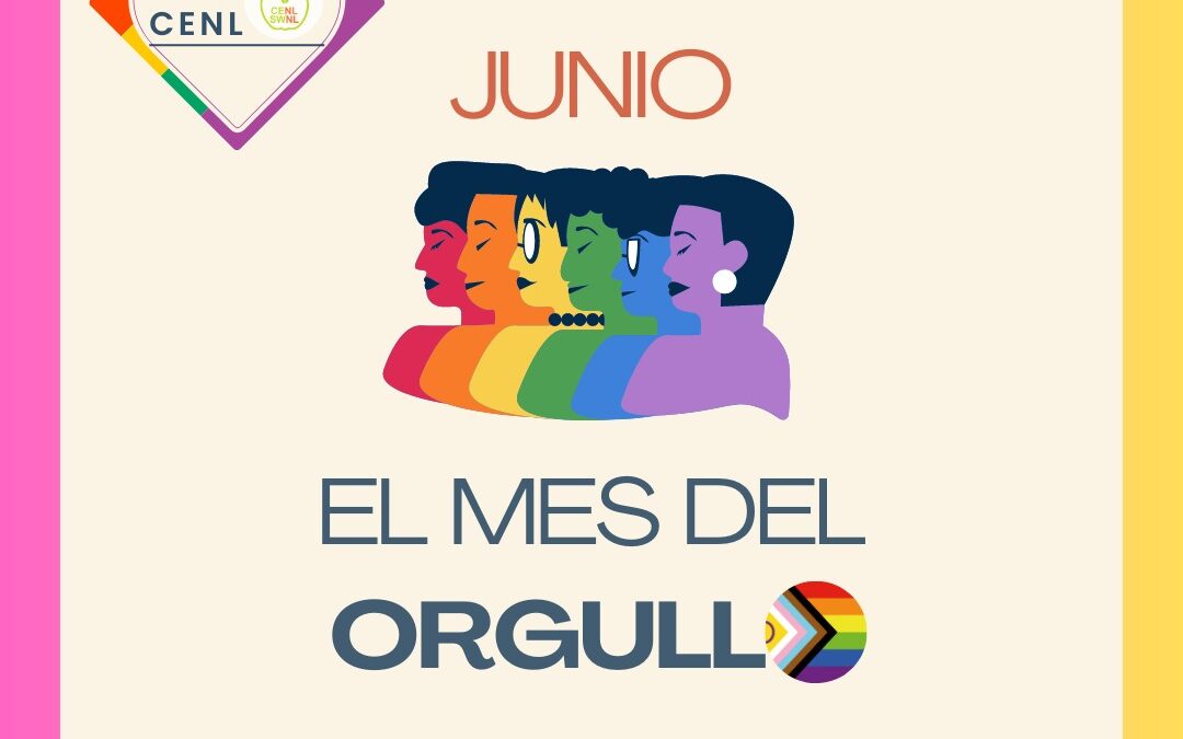 Junio, el mes del “Orgullo”: Cómo hemos pasado de una protesta en las calles a ser usado como pink wash por instituciones