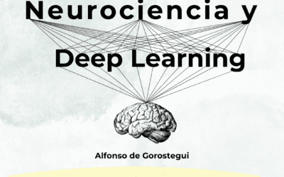 Revolutionaire neurowetenschap met deep learning