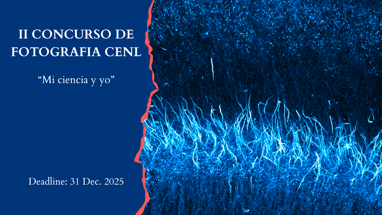concurso foto